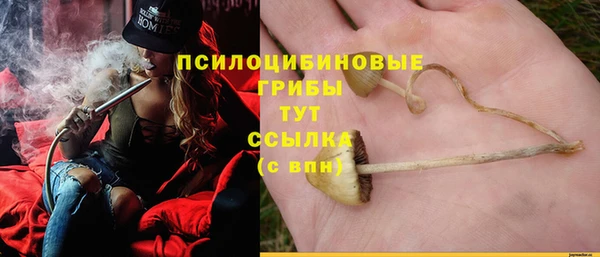 стафф Богородицк