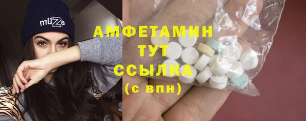 спайс Богданович