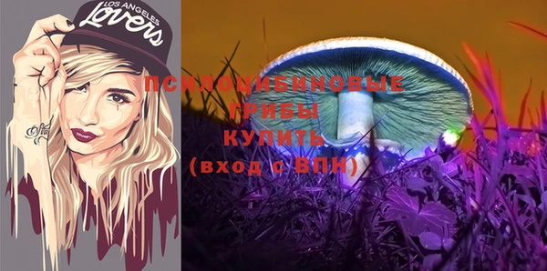МДПВ Бронницы