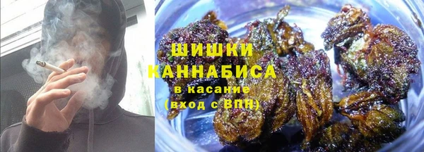 стафф Богородицк