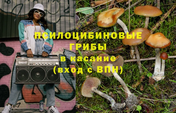 МДПВ Бронницы
