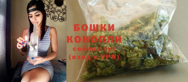спайс Богданович
