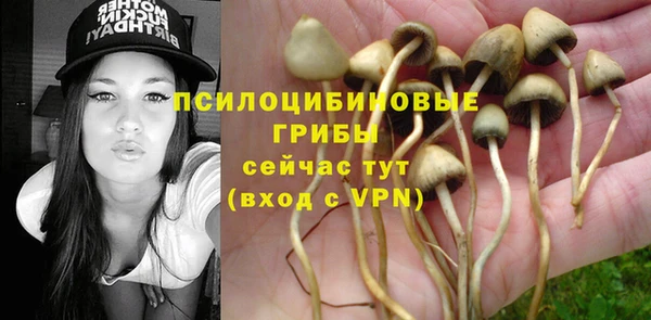 стафф Богородицк